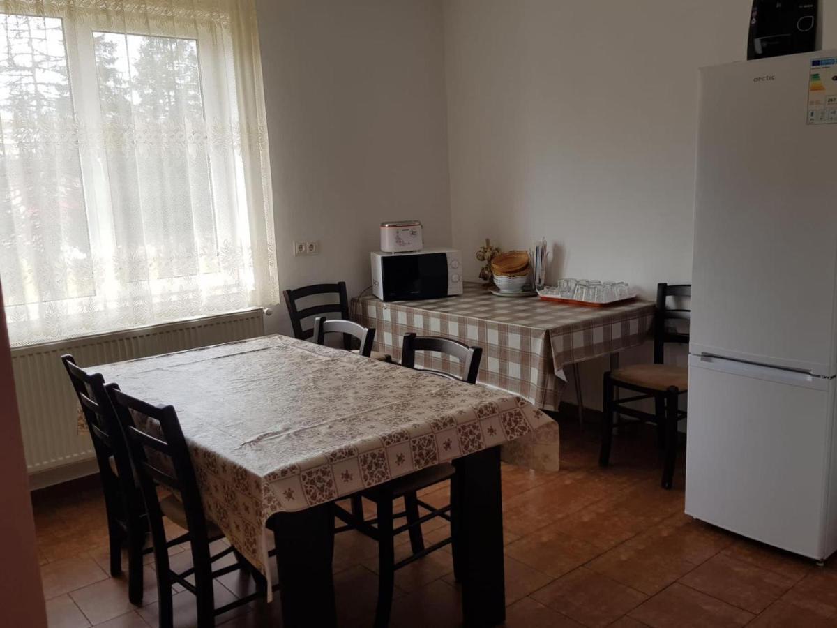Вилла Casa Bogdan Выртоп Экстерьер фото
